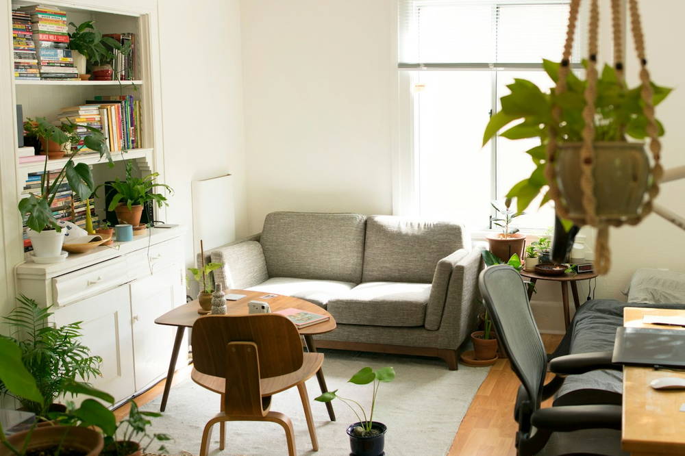 A quiet, plant-filled sitting room with a sofa, low table and daylight through a window
